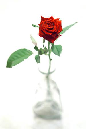 神戸HDCショールーム｜タカラスタンダードの最新住宅設備と便利なサービス情報