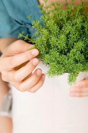 抜群の品揃えの無垢フローリング専門店