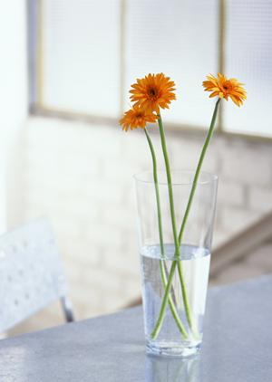 狭小住宅に適したロータイプベッドを購入